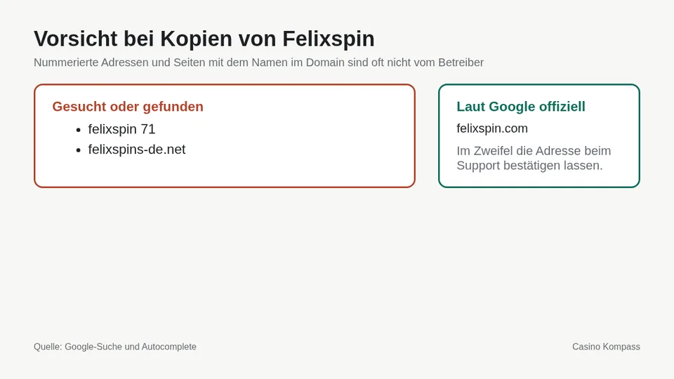 Warnung vor Kopien und Spiegelseiten von Felixspin