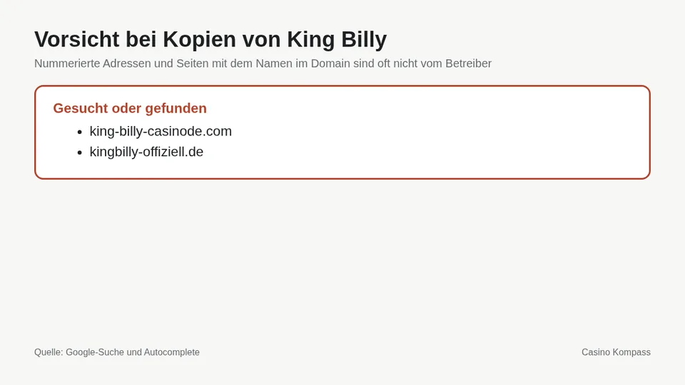 Warnung vor Kopien und Spiegelseiten von King Billy
