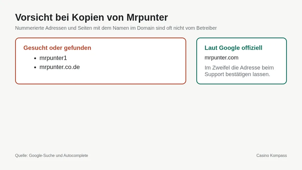 Warnung vor Kopien und Spiegelseiten von Mrpunter