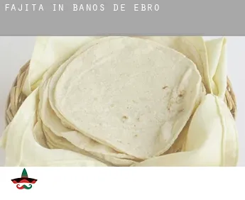 Fajita in  Mañueta / Baños de Ebro