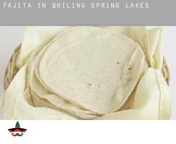 Fajita in  Boiling Spring Lakes