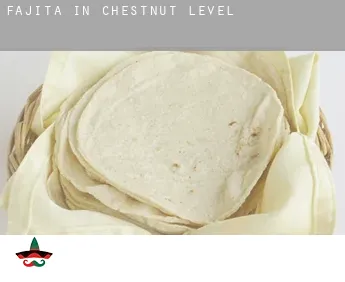 Fajita in  Chestnut Level