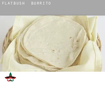 Flatbush  Burrito