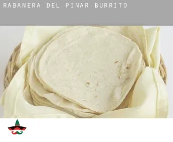 Rabanera del Pinar Burrito