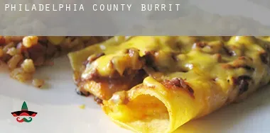 Philadelphia County  Burrito