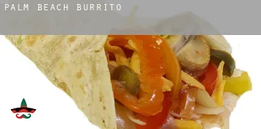 Palm Beach County Burrito