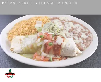 Babbatasset Village  Burrito