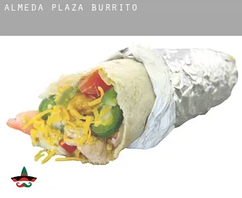 Almeda Plaza  Burrito