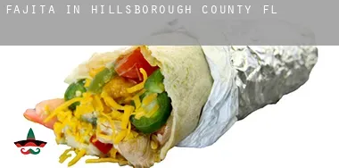 Fajita in  Hillsborough County