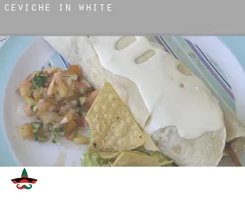 Ceviche in  White