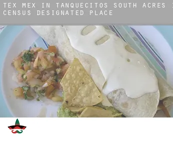 Tex mex in  Tanquecitos South Acres II