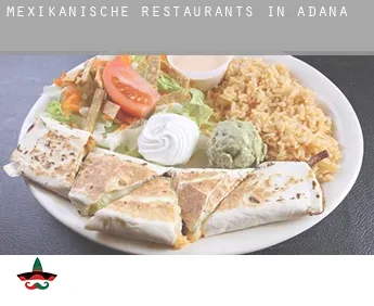 Mexikanische Restaurants in  Adana