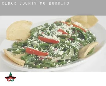 Cedar County  Burrito
