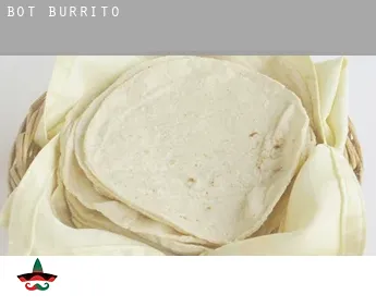 Bot  Burrito