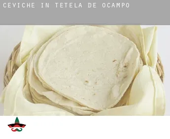 Ceviche in  Tetela de Ocampo