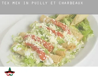 Tex mex in  Puilly-et-Charbeaux