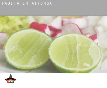 Fajita in  Attunga