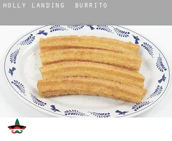 Holly Landing  Burrito