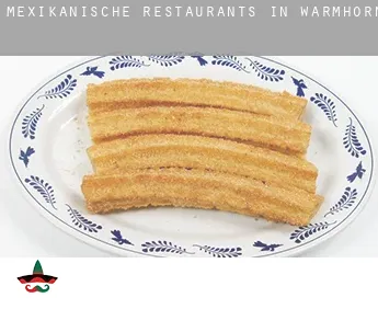 Mexikanische Restaurants in  Warmhörn