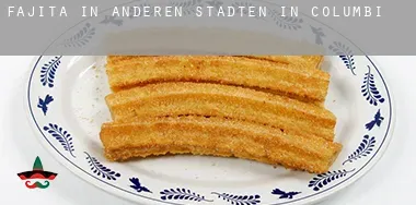 Fajita in Anderen Städten in Columbia