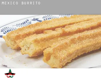 Mexico  Burrito