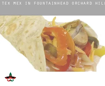Tex mex in  Fountainhead-Orchard Hills