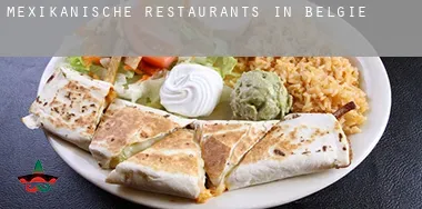 Mexikanische Restaurants in Belgien