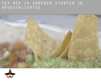 Tex mex in  Anderen Städten in Aguascalientes