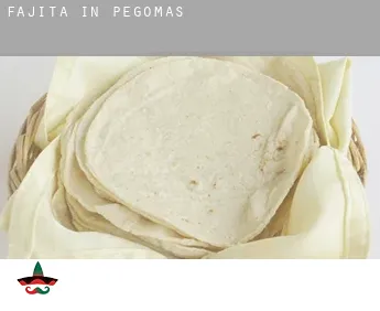 Fajita in Pégomas
