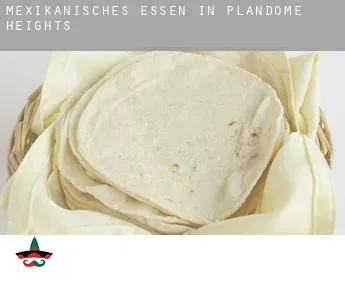 Mexikanisches Essen in  Plandome Heights