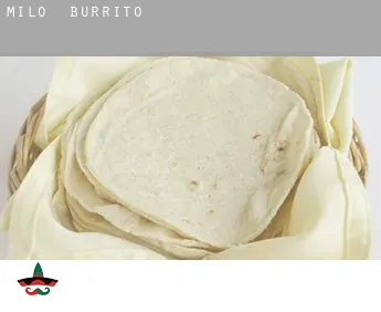 Milo  Burrito