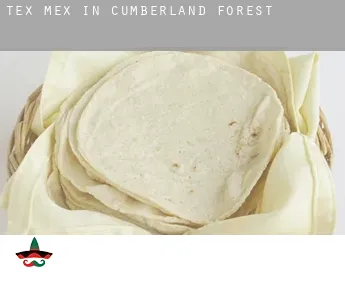 Tex mex in  Cumberland Forest