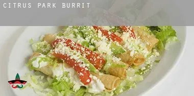 Citrus Park  Burrito
