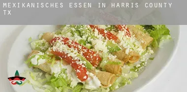 Mexikanisches Essen in Harris County