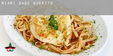 Miami-Dade County Burrito