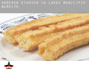 Anderen Städten in Lares Municipio  Burrito
