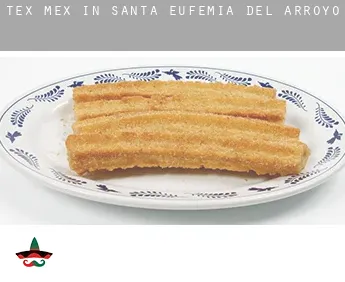 Tex mex in  Santa Eufemia del Arroyo