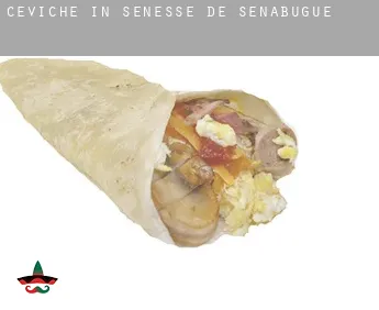 Ceviche in  Sénesse-de-Senabugue