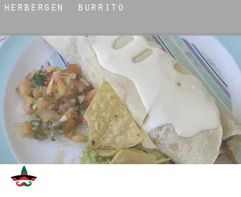 Herbergen  Burrito