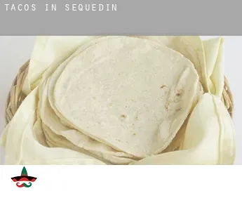 Tacos in  Sequedin