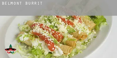Belmont Burrito