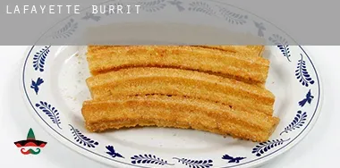Lafayette Burrito