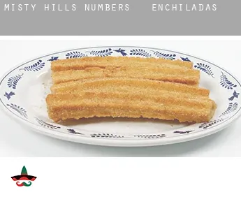 Misty Hills Numbers 8-10  Enchiladas