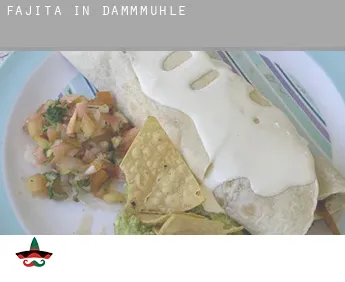 Fajita in  Dammmühle