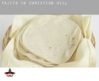 Fajita in  Christian Hill