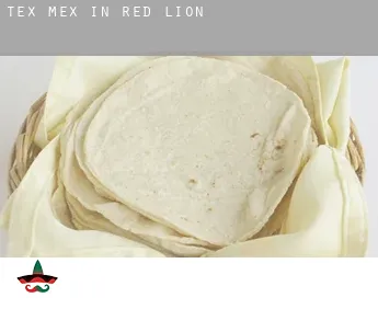 Tex mex in  Red Lion