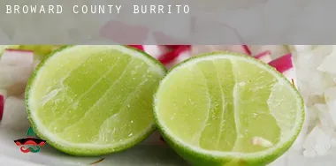Broward County  Burrito
