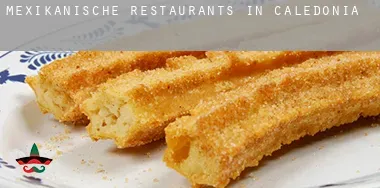 Mexikanische Restaurants in Caledonia